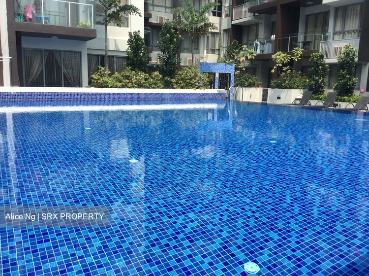 La Brisa (D14), Apartment #212982691